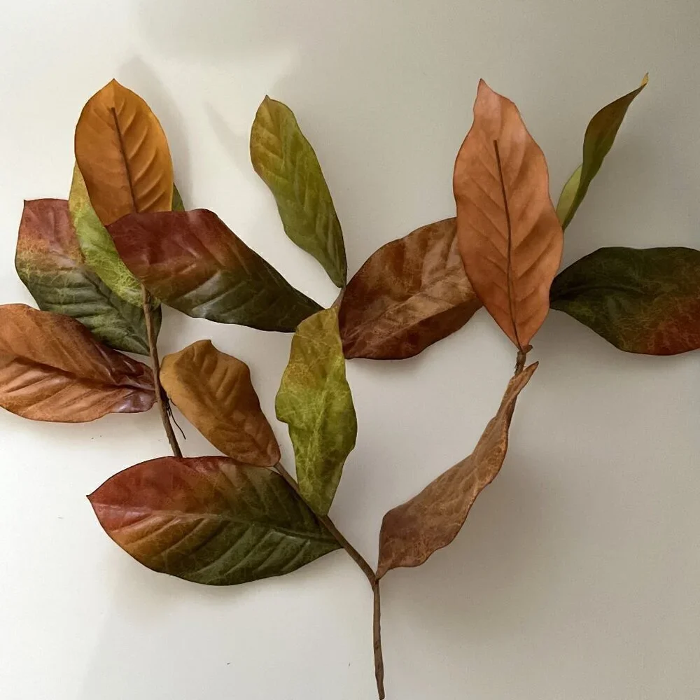 MAGNOLIA BIG LEAVES  DIY BUNDLE CRAFTS HOME DECOR 30 LEAVES 4 BRANCHES